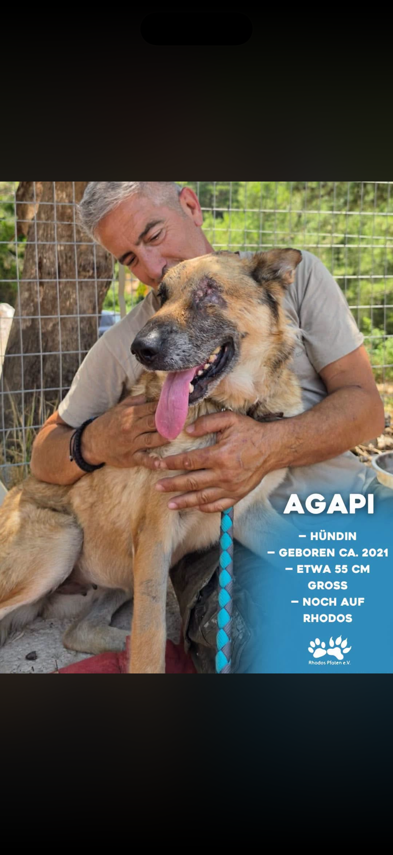 Agapi