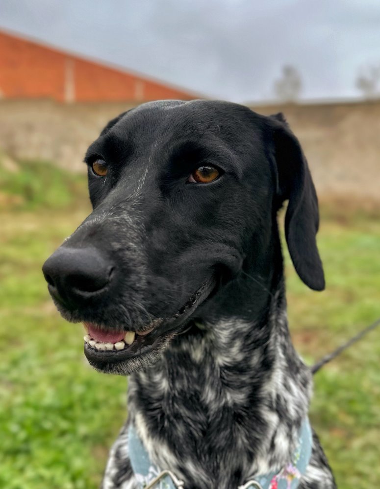 Mika