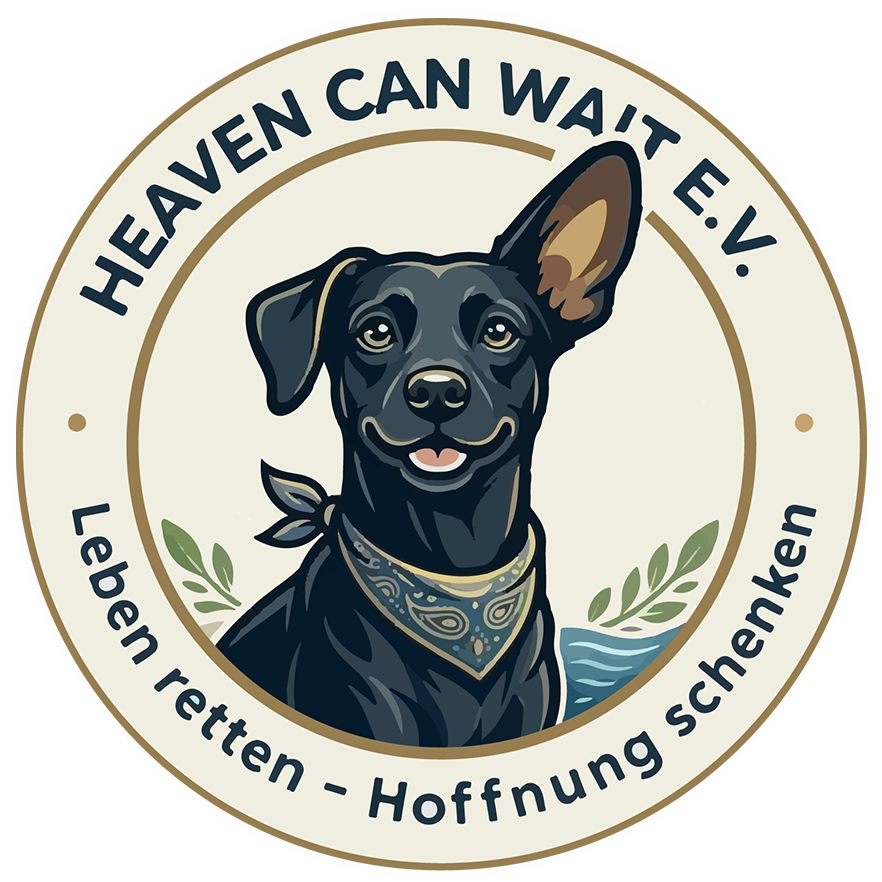 Heaven can wait e.V.
