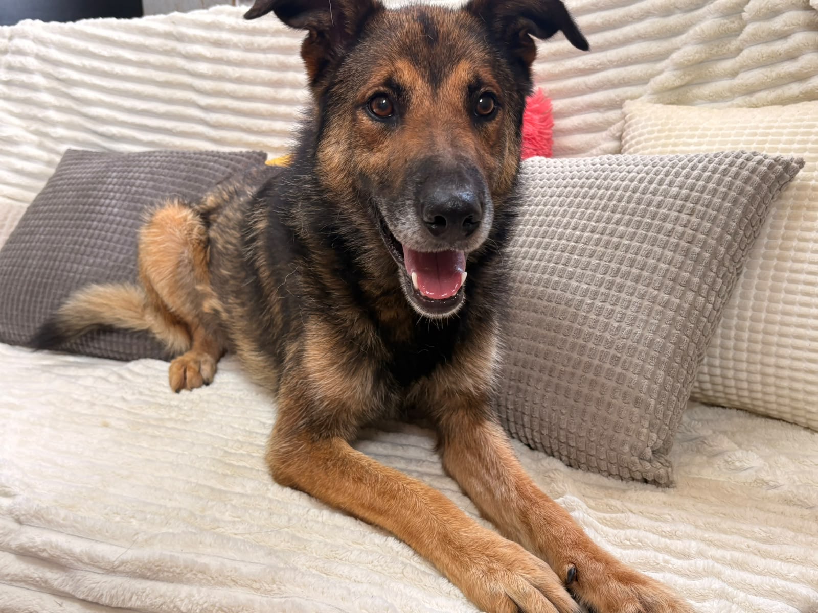 Max