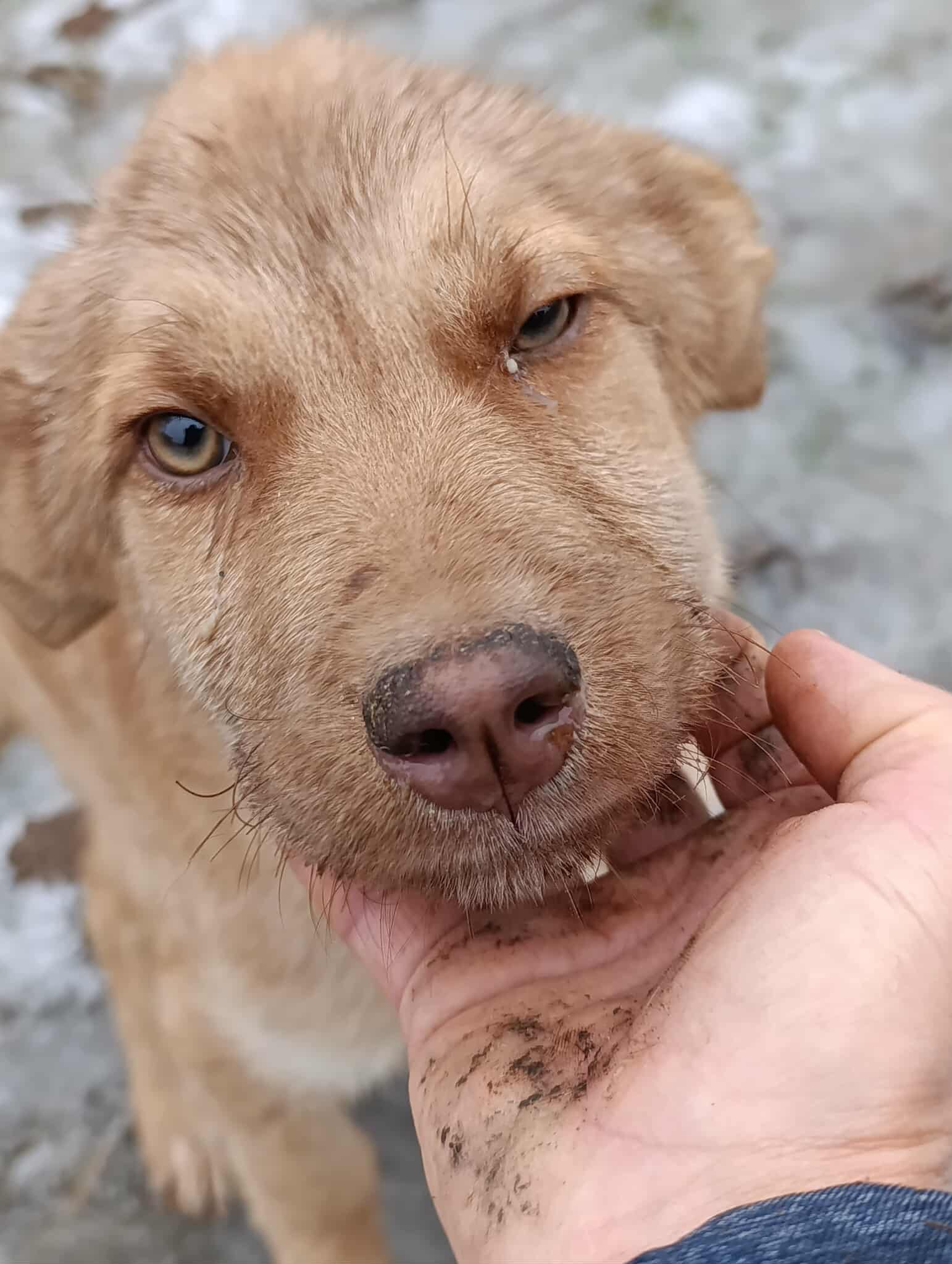 Duke