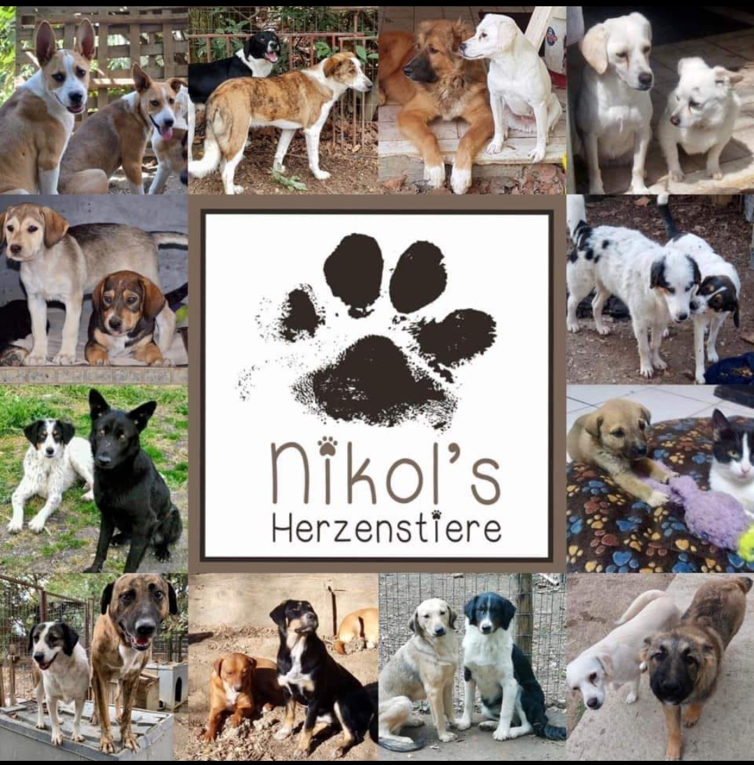 Nikol's Herzenstiere