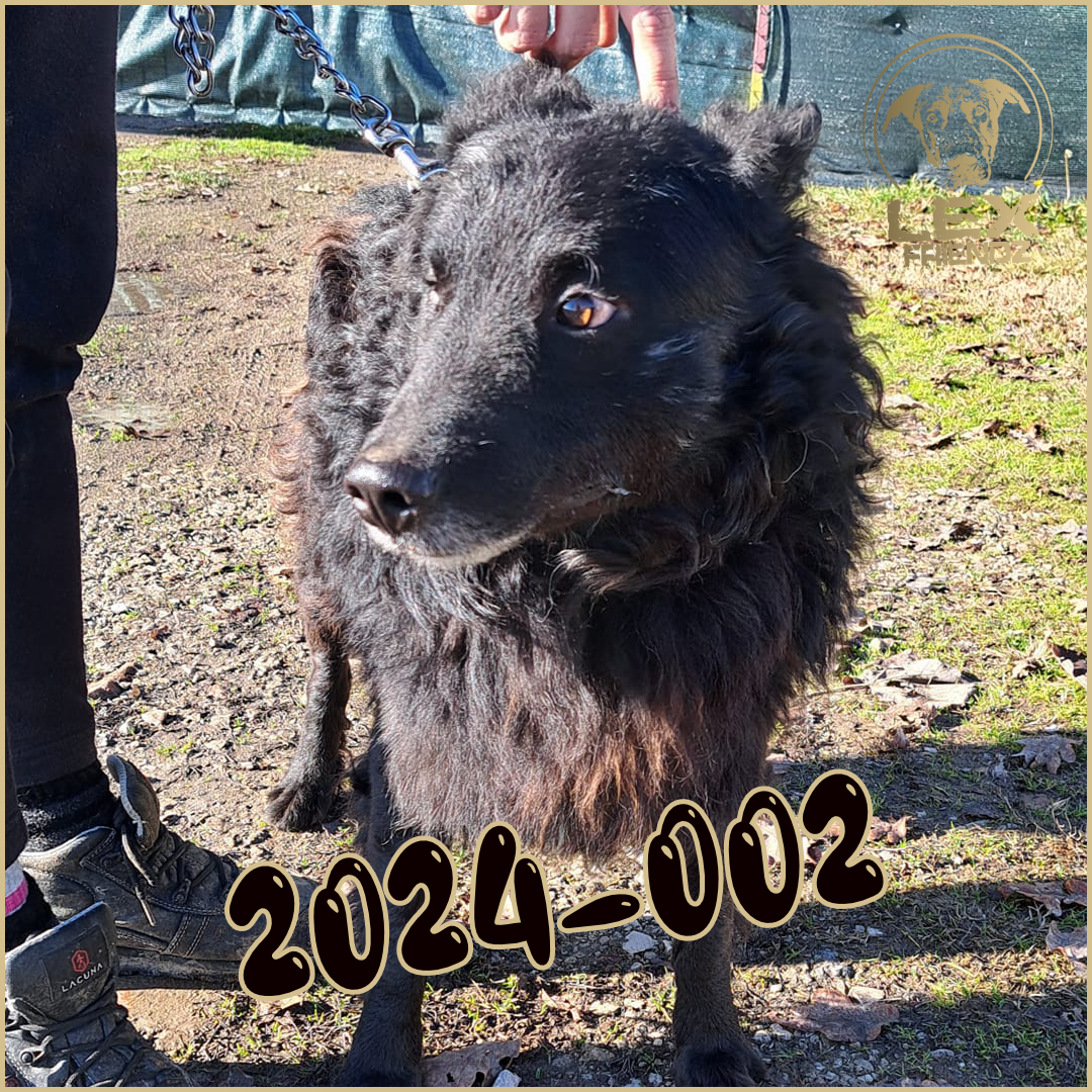 2024-002