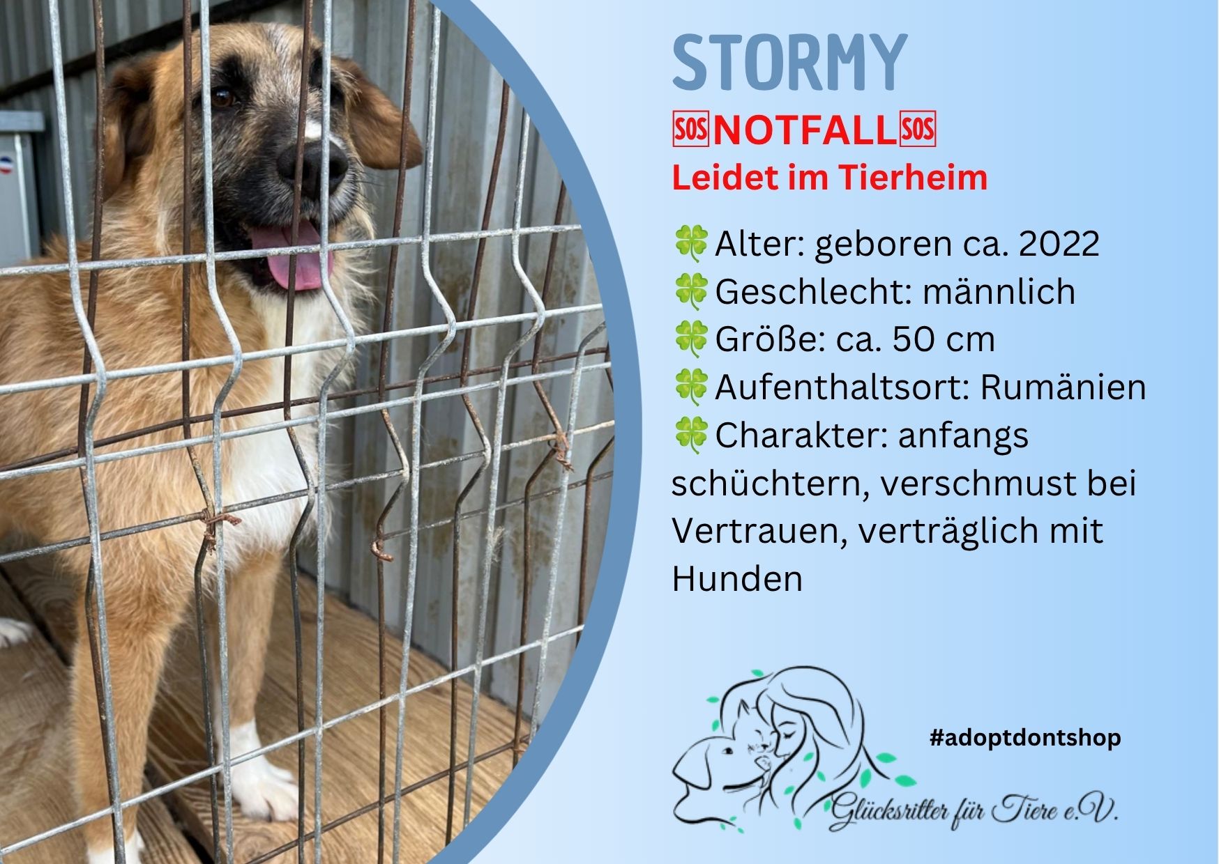 🆘 Stormy sucht sein Glück🆘