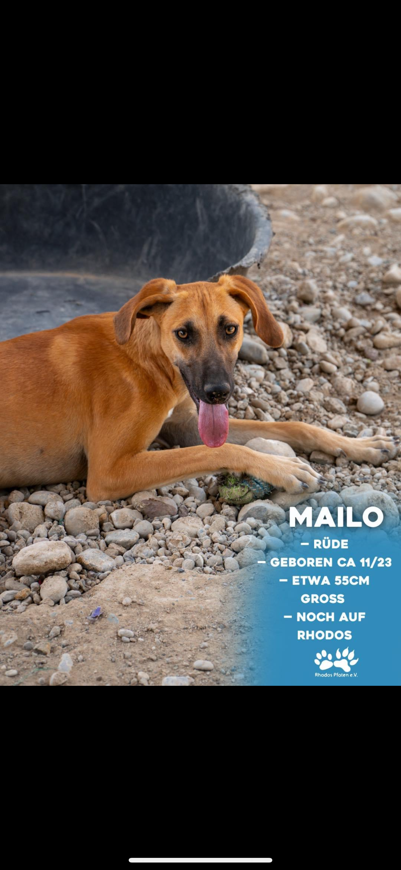 Mailo