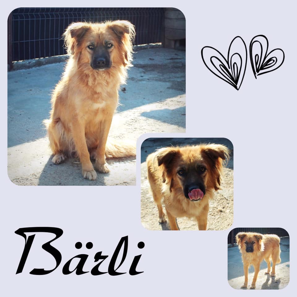 Bärli