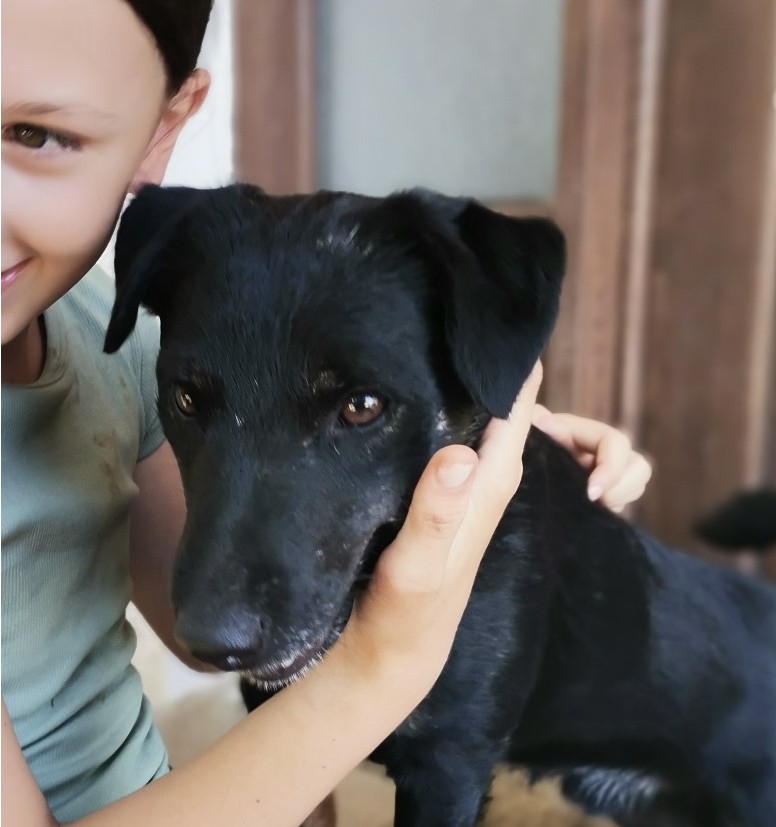 Sam