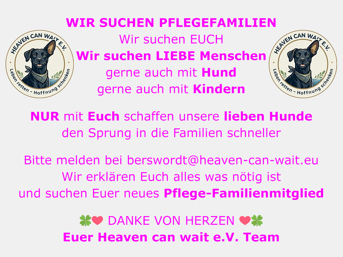 WIR SUCHEN PFLEGEFAMILIEN