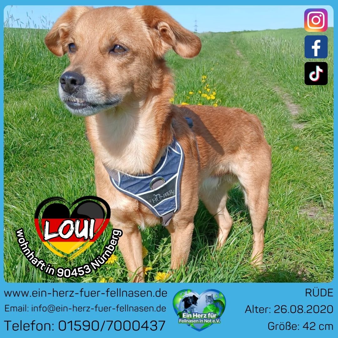 Loui 💞