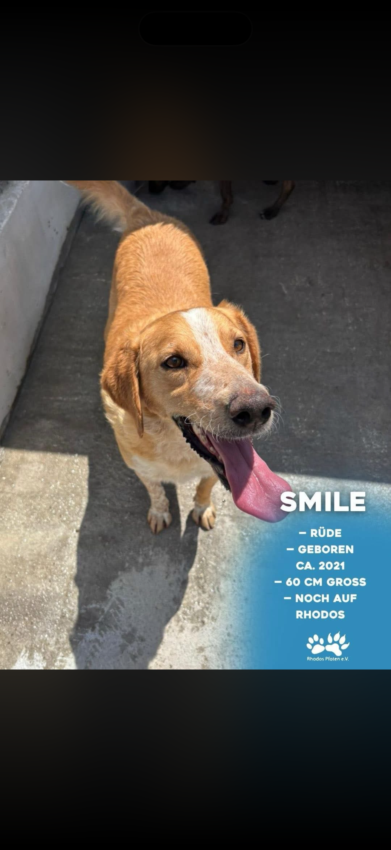 Smile