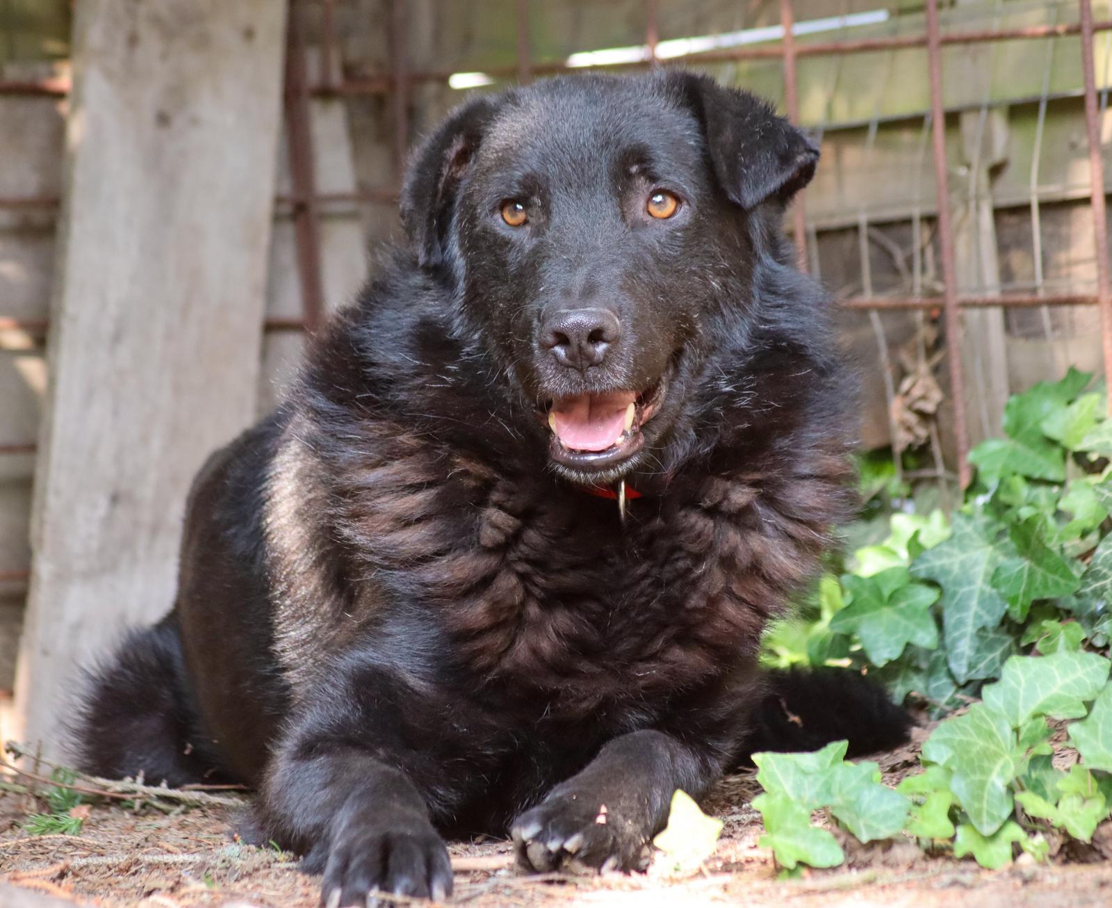 Neron