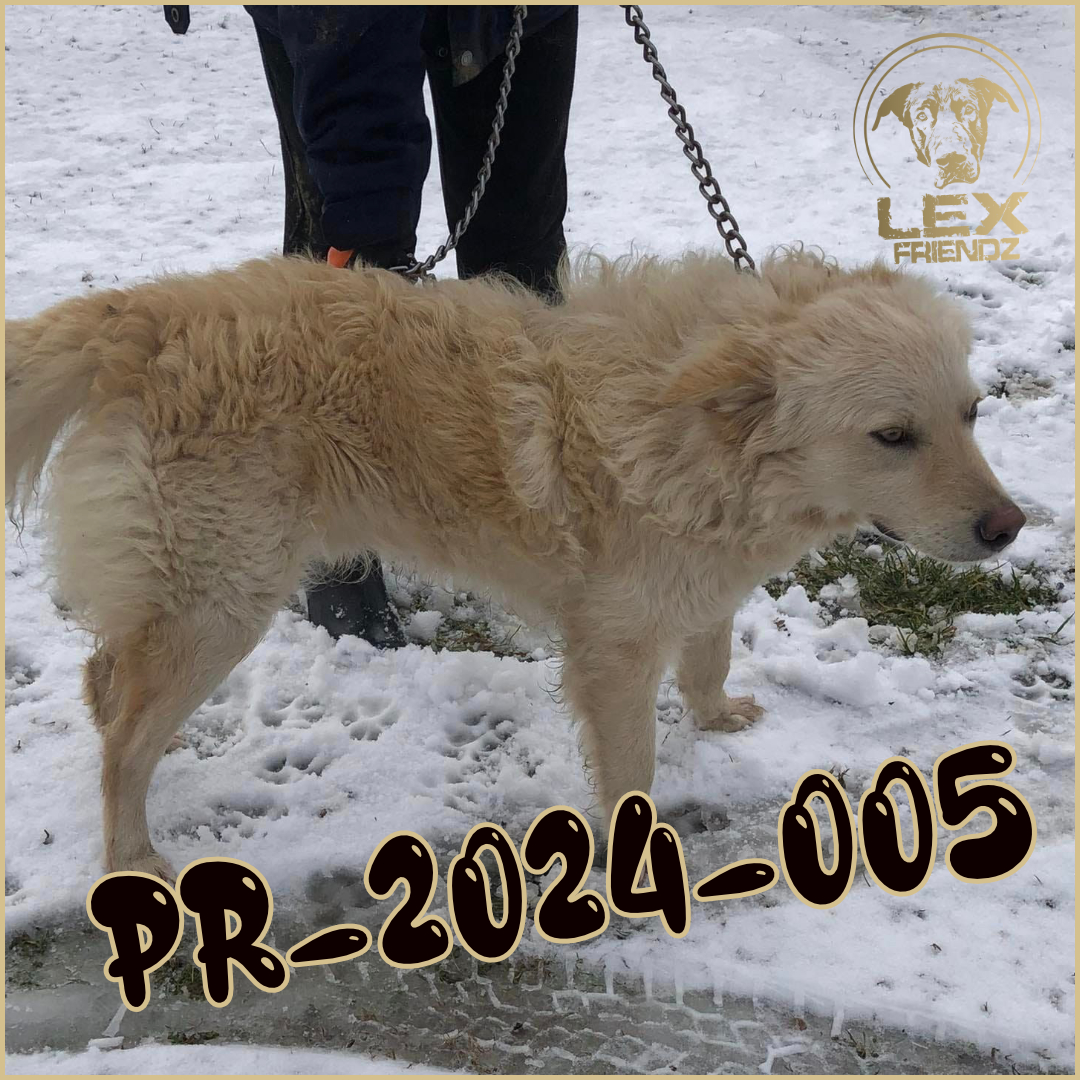 PR-2024-005