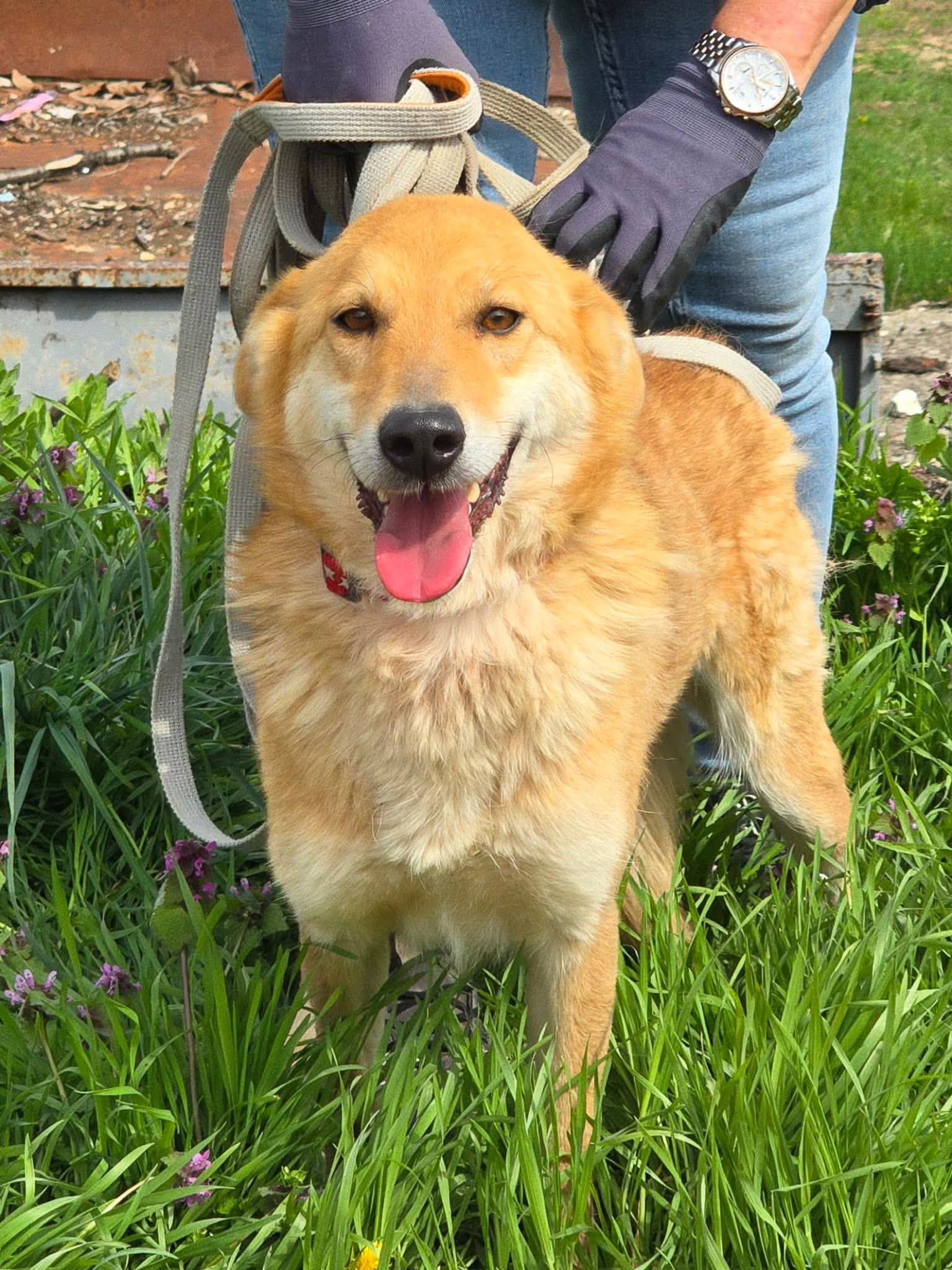 Lina ❤️