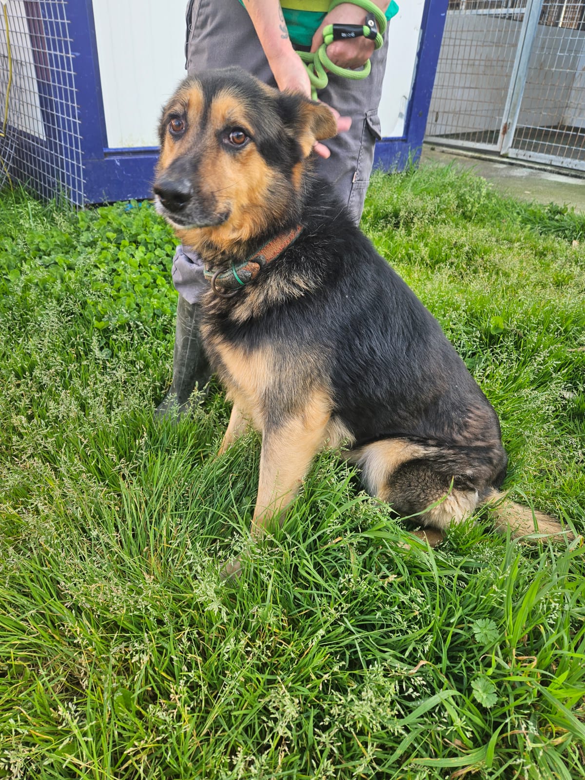 Cisco