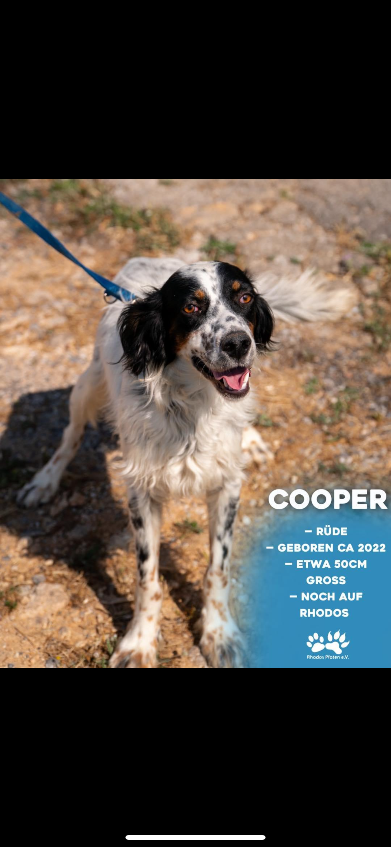 Cooper