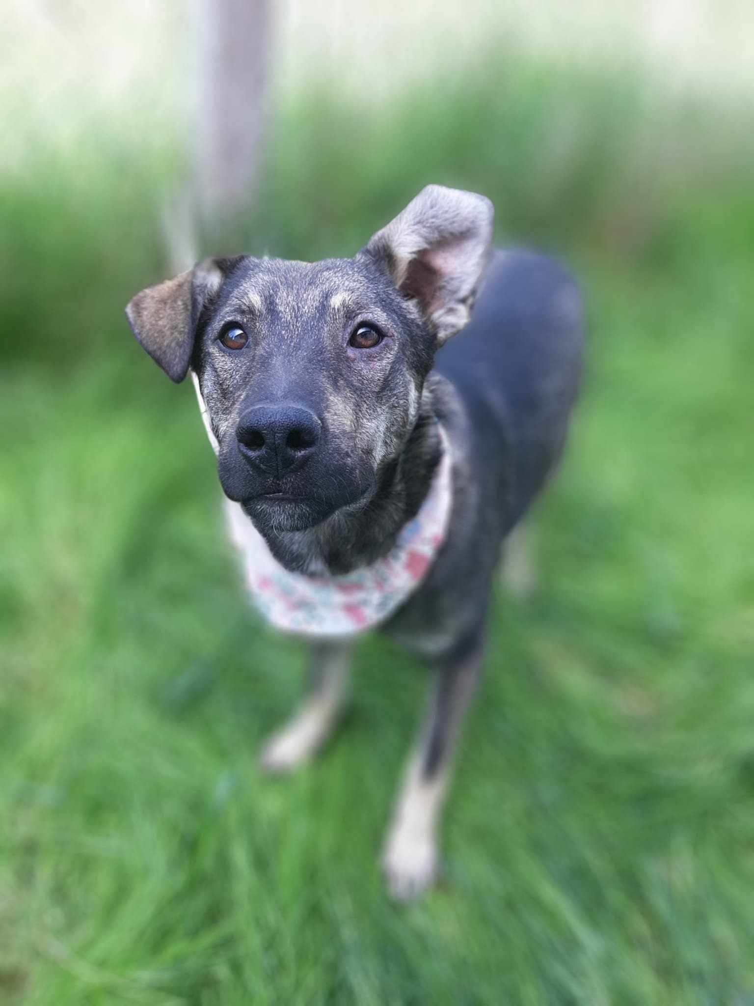 Eva 🐾🐕