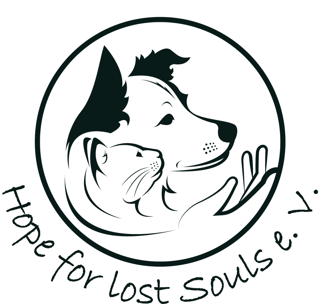 Hope for lost Souls e. V.