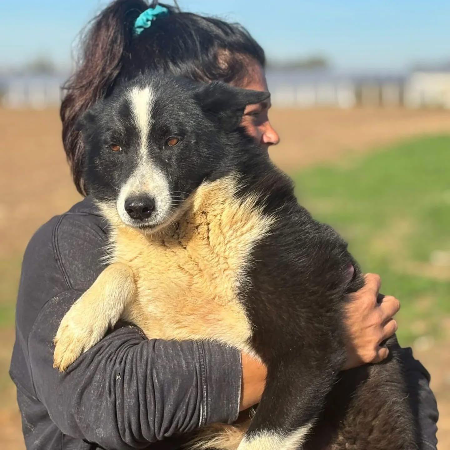 Yuma