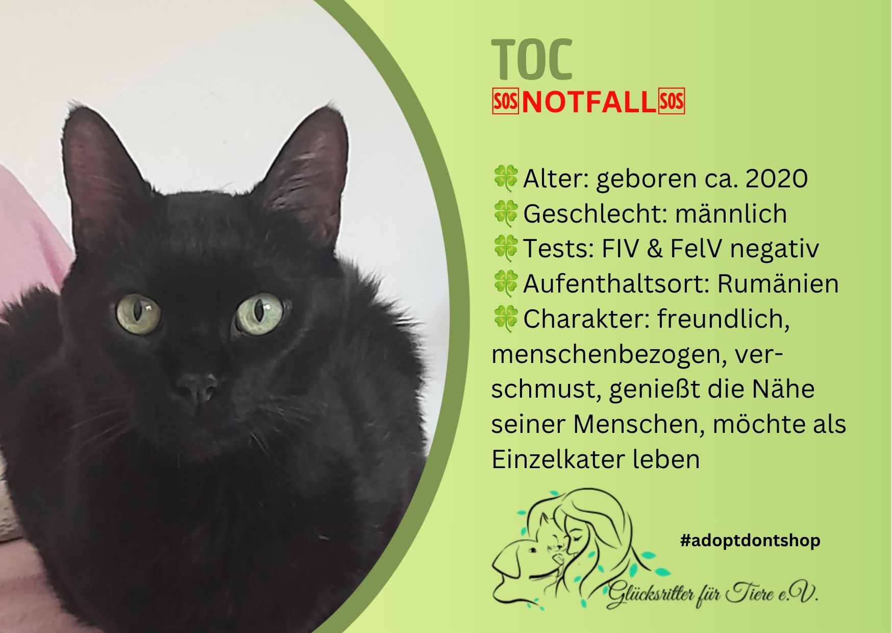 😺🆘 Toc braucht Hilfe 🆘😺