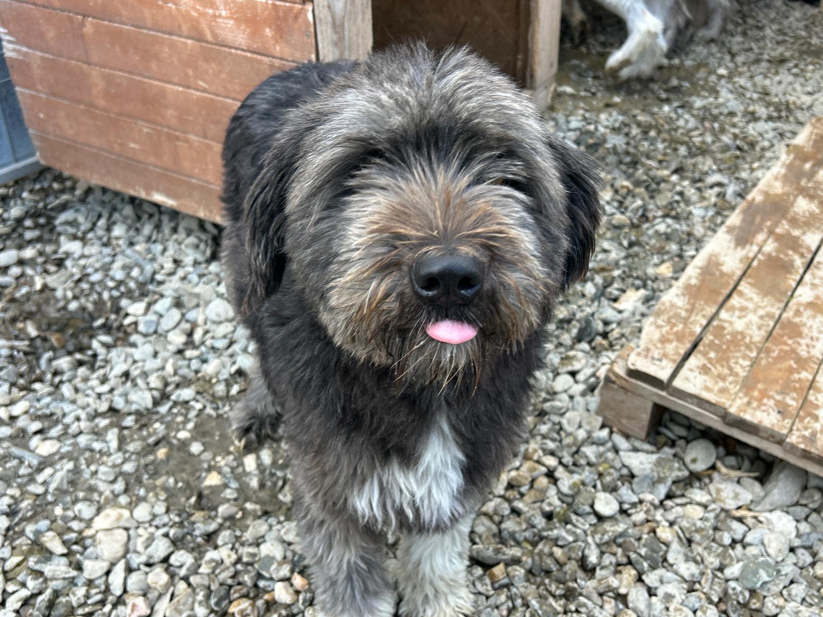 Summer