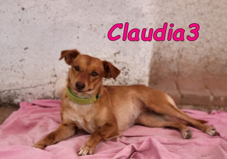 Claudia3