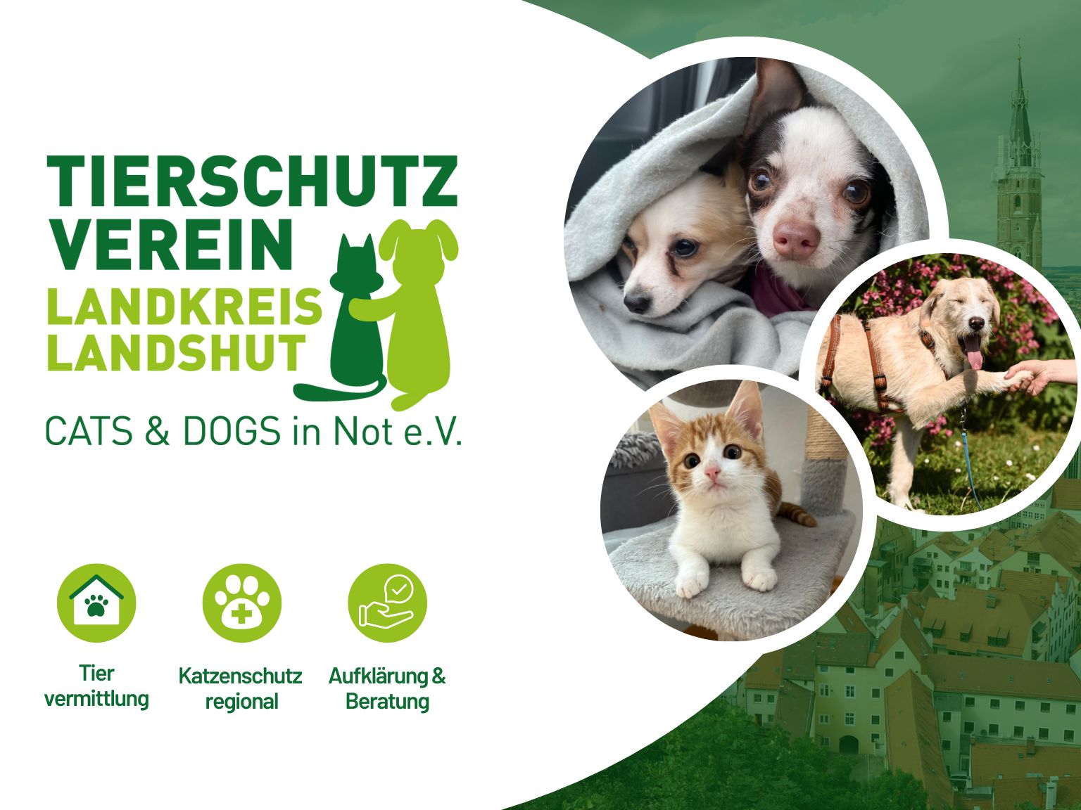 Tierschutzverein Landkreis Landshut - Cats & Dogs in Not e.V.