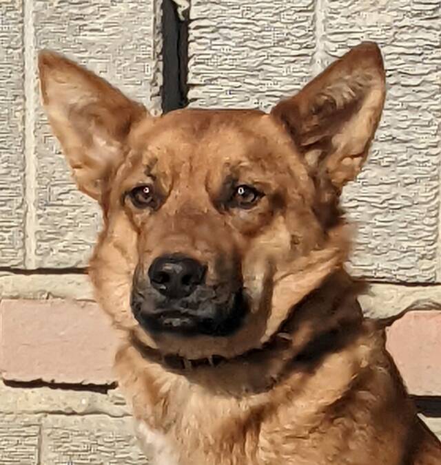 JEFFREY