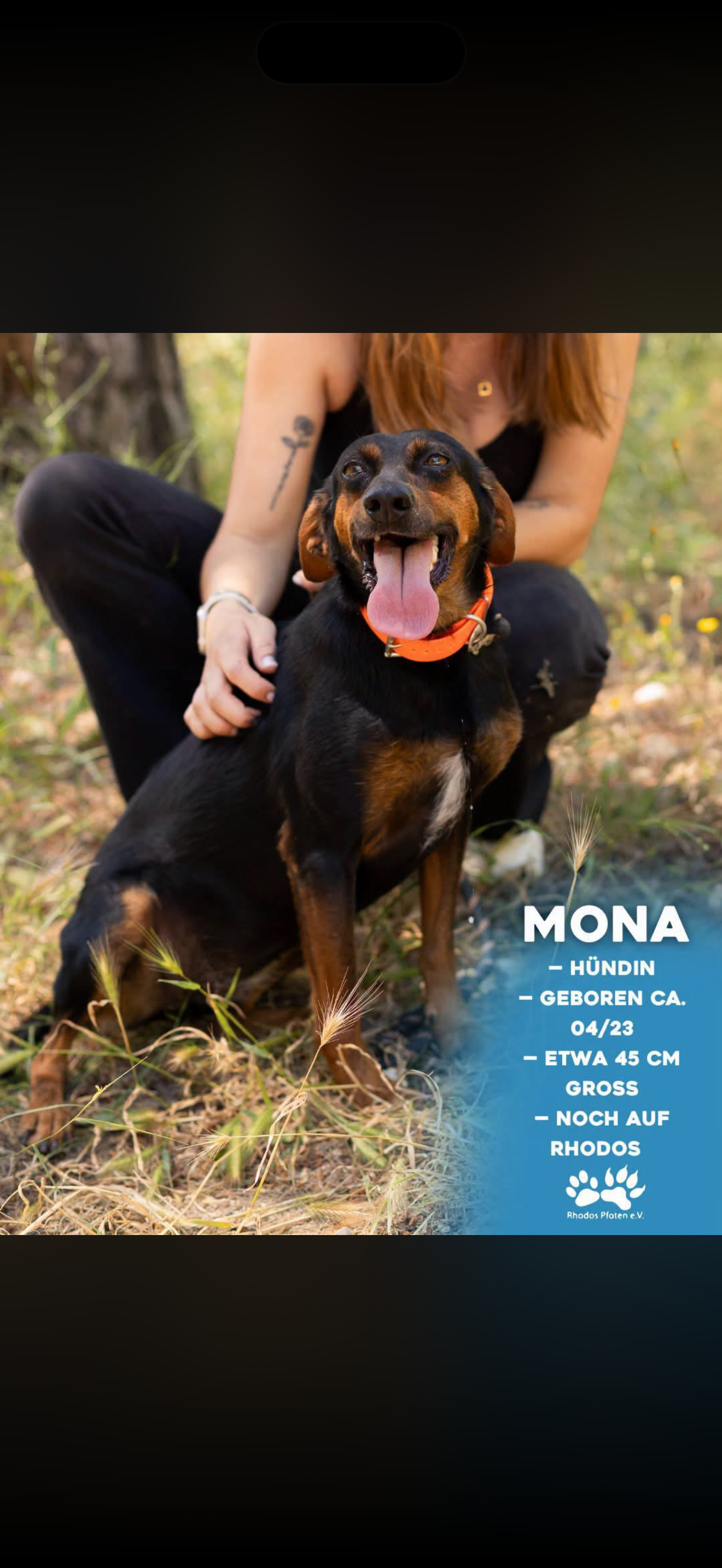Mona