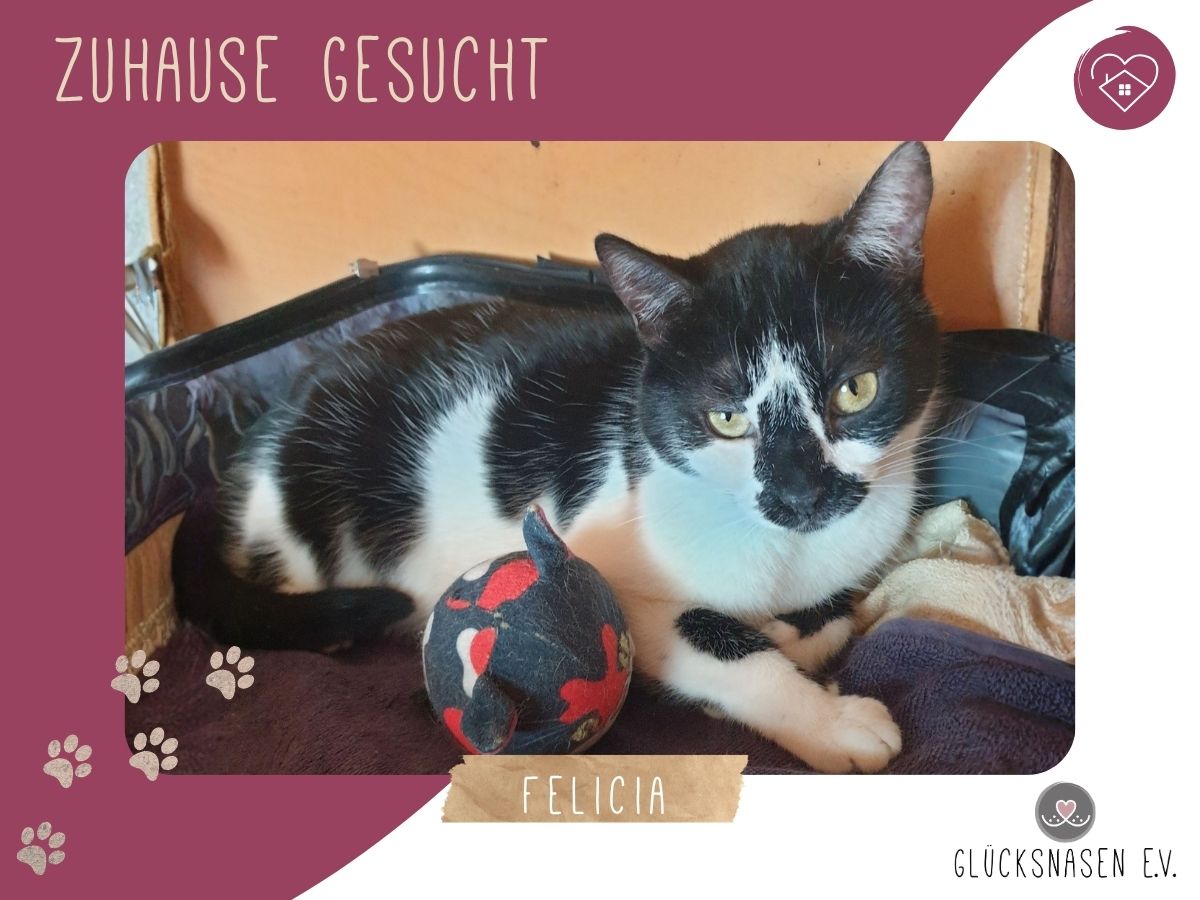 Felicia möchte so gern reisen