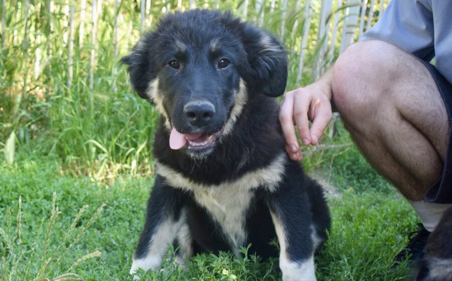 Berta