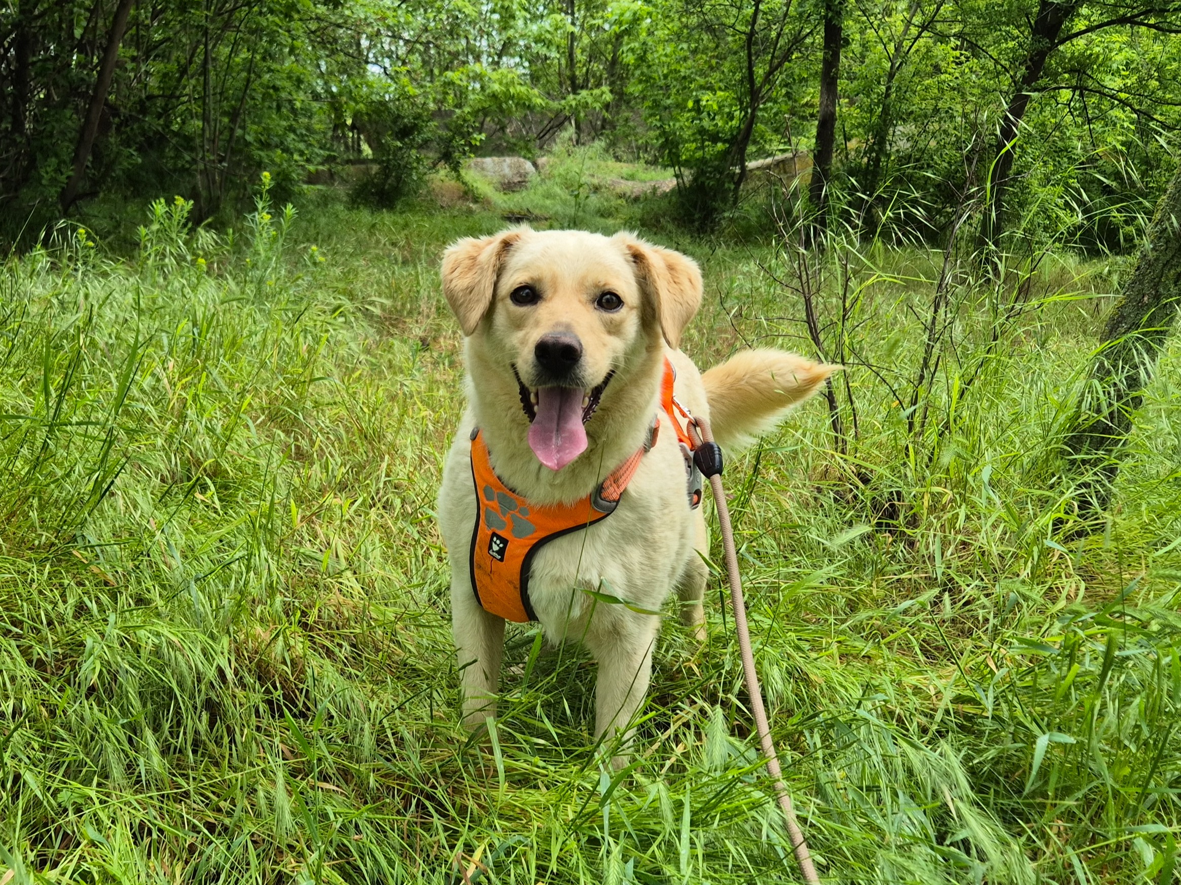 Sam