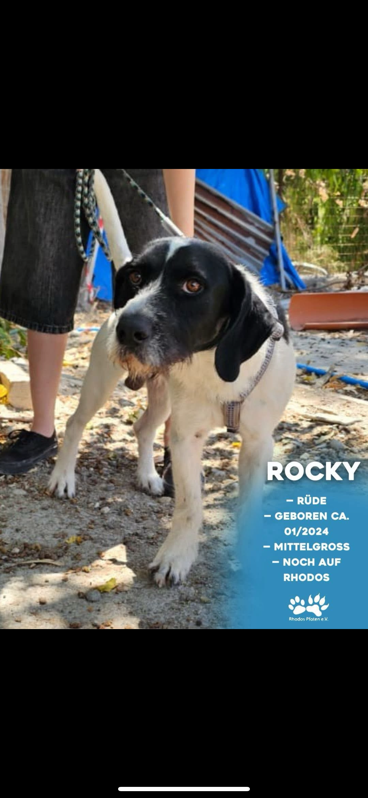 Rocky