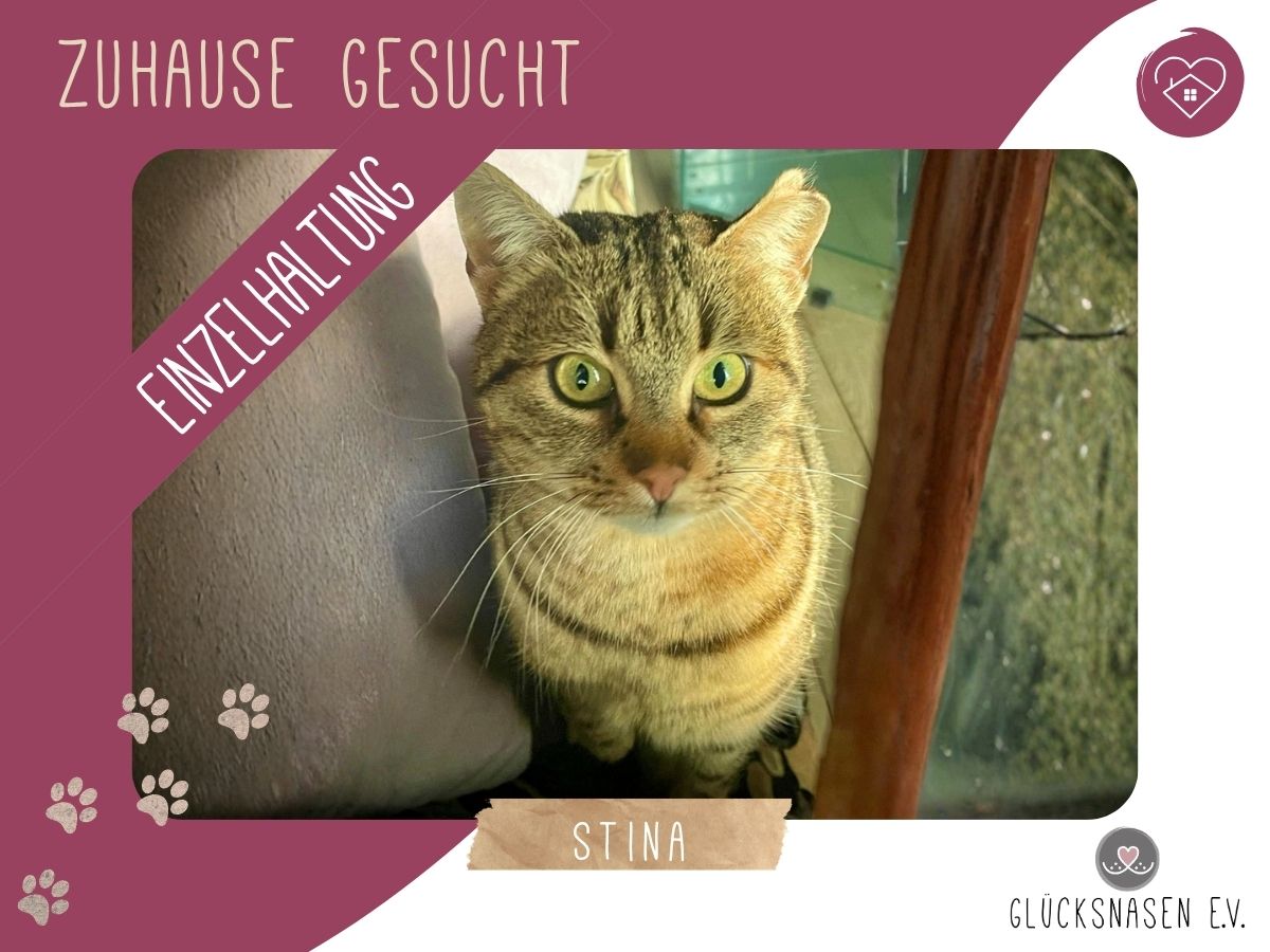 Stina sucht ihre Familie