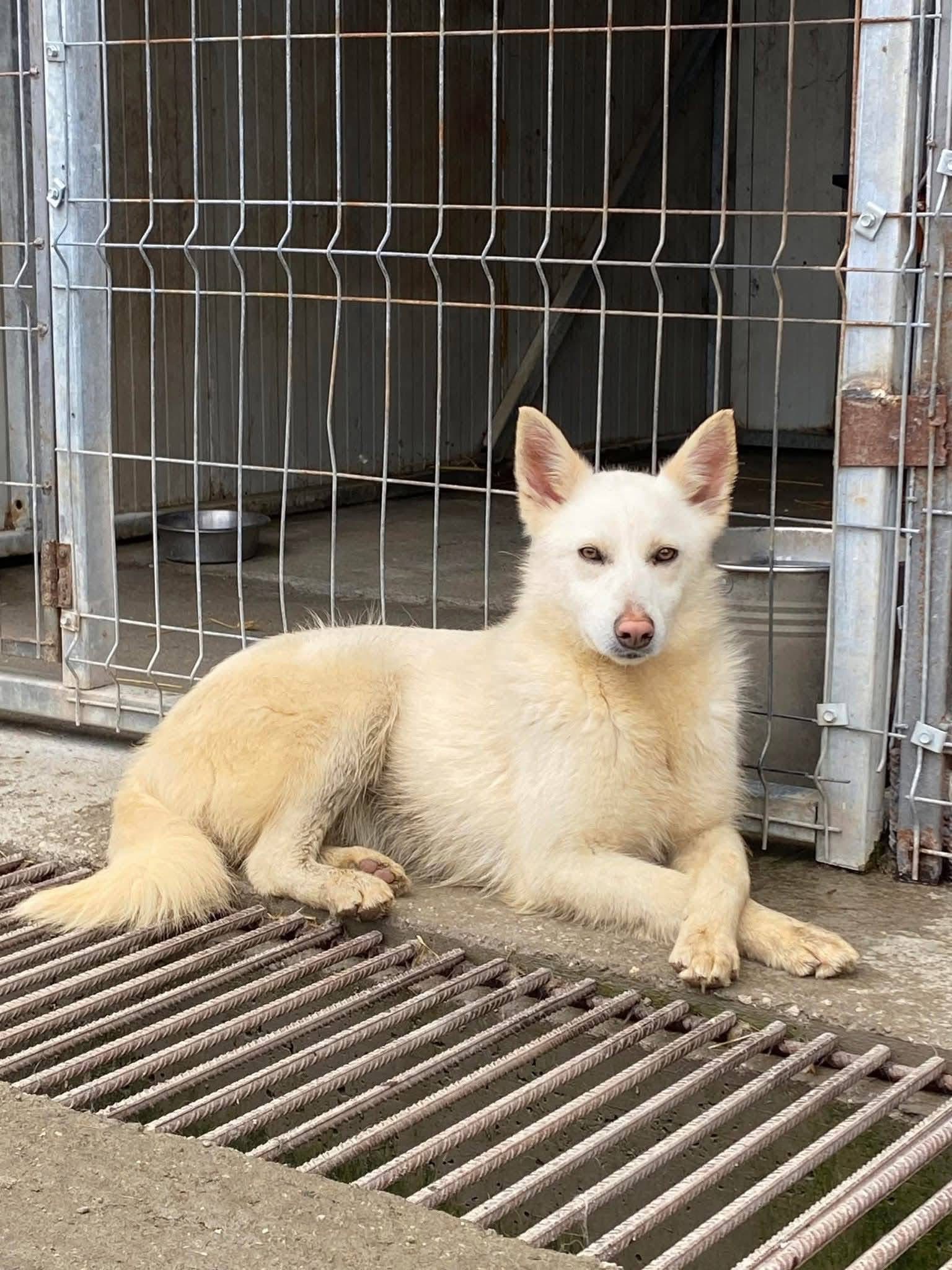 Anca🐾🐕