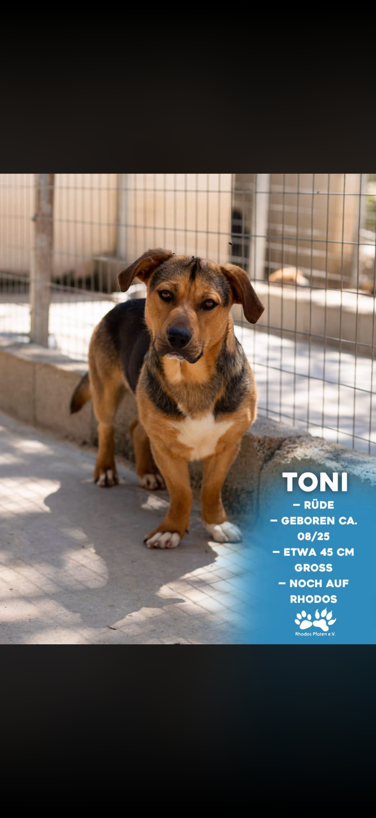 Toni