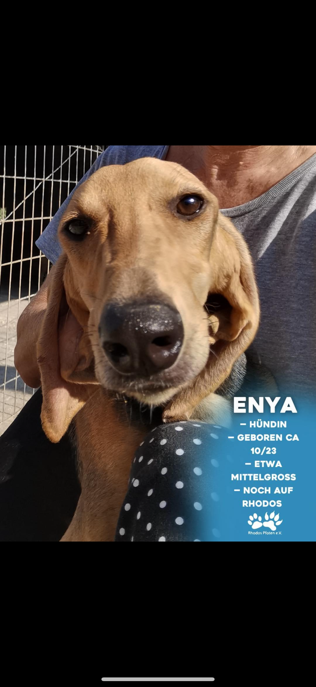 Enya