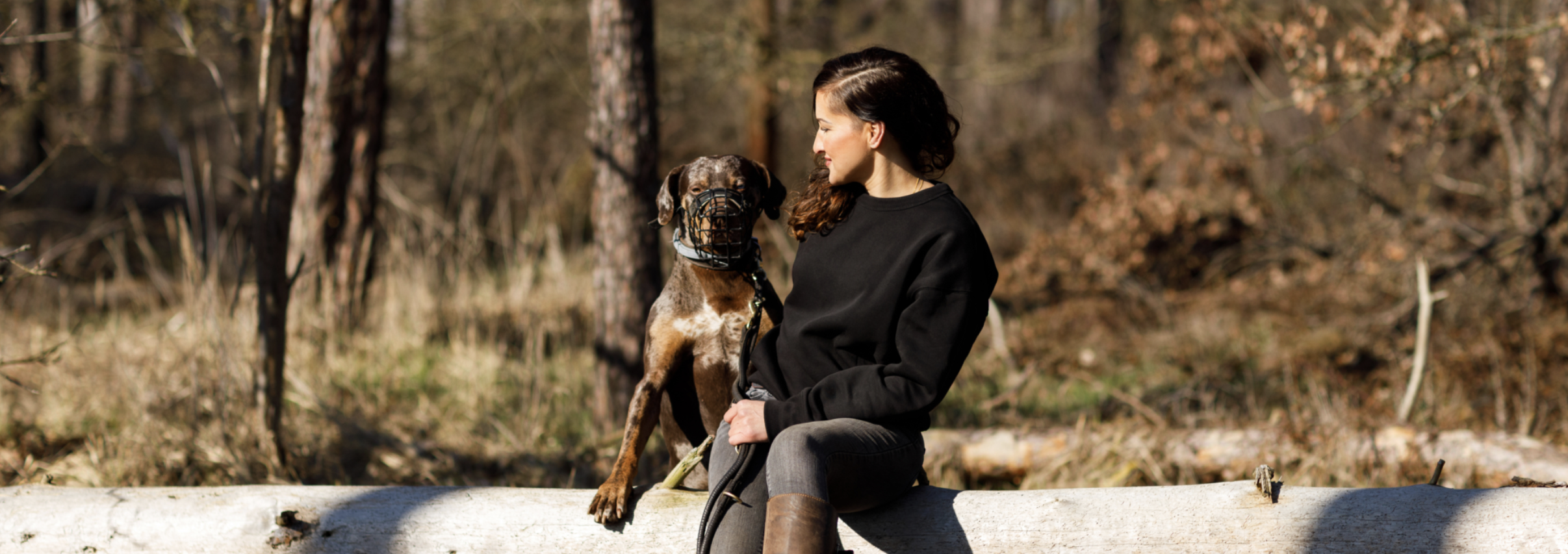 Problemhundezentrum