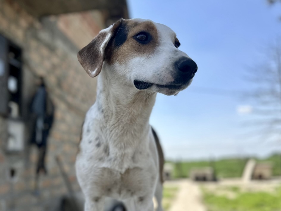 Thelma – vorsichtig und sanft