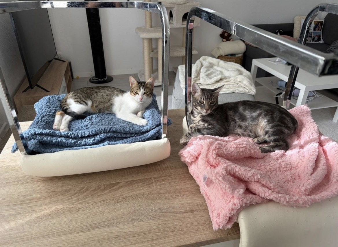 Bonny & Serafino