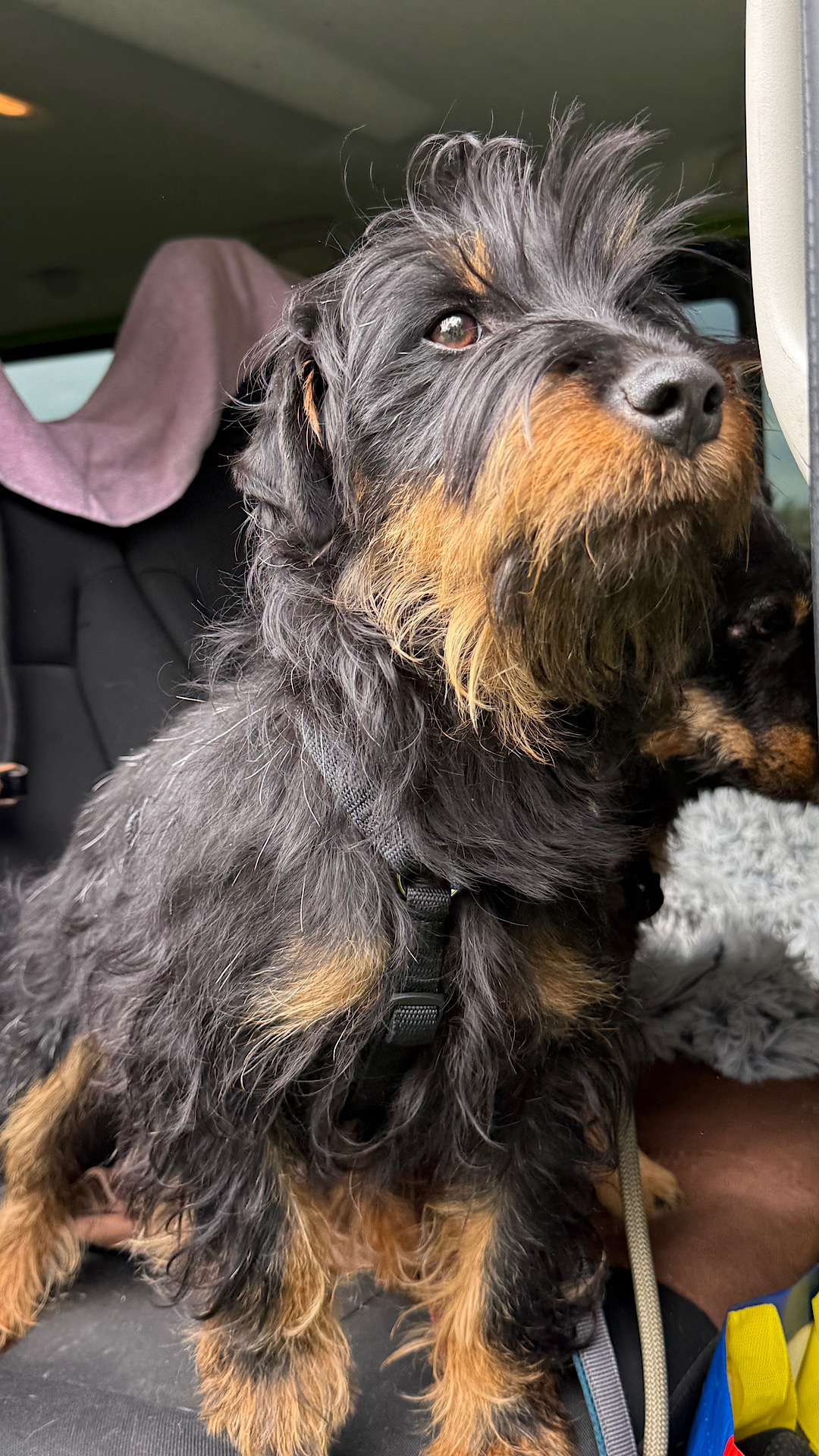 liebenswerte Mischa