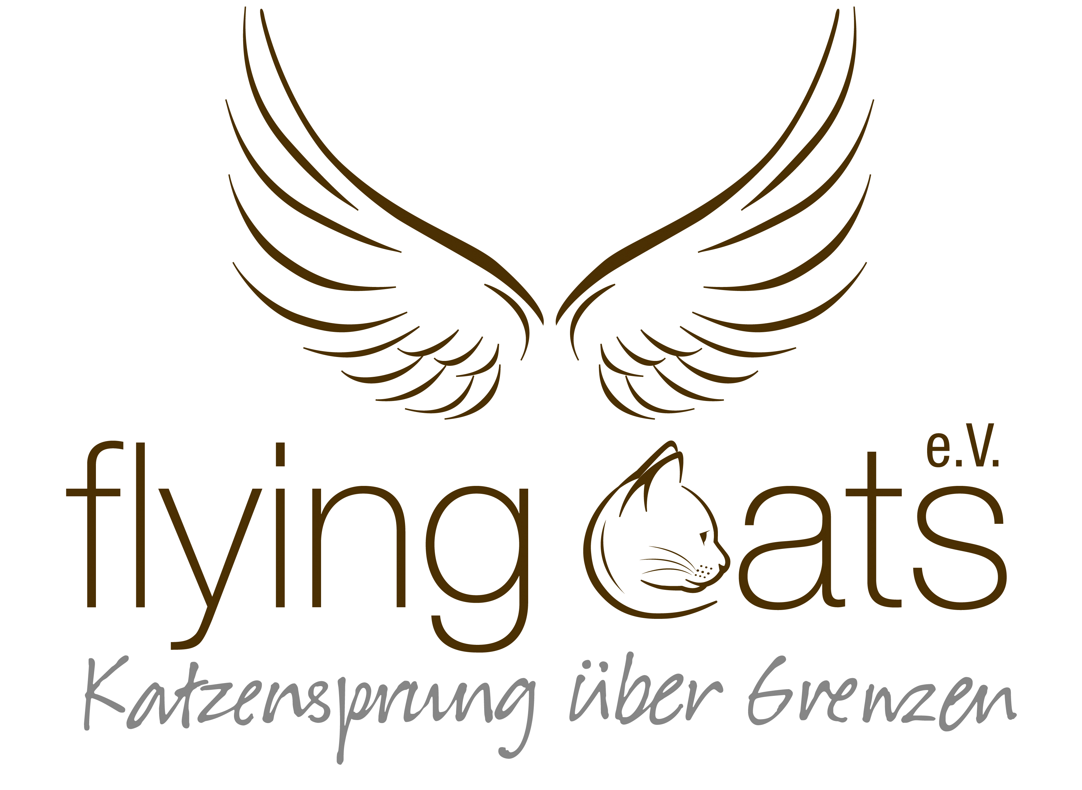flying cats e.V.