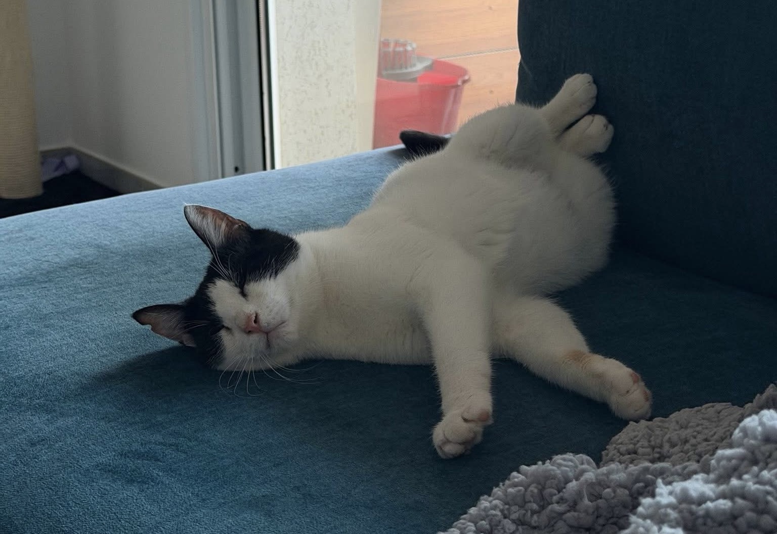 Arwen