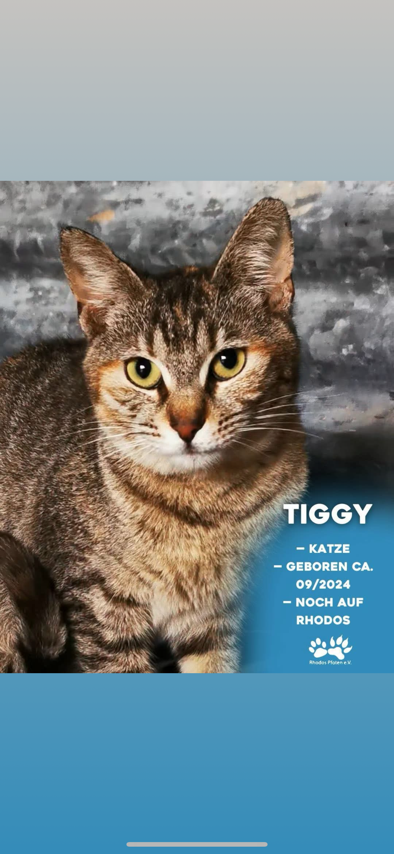 Tiggy