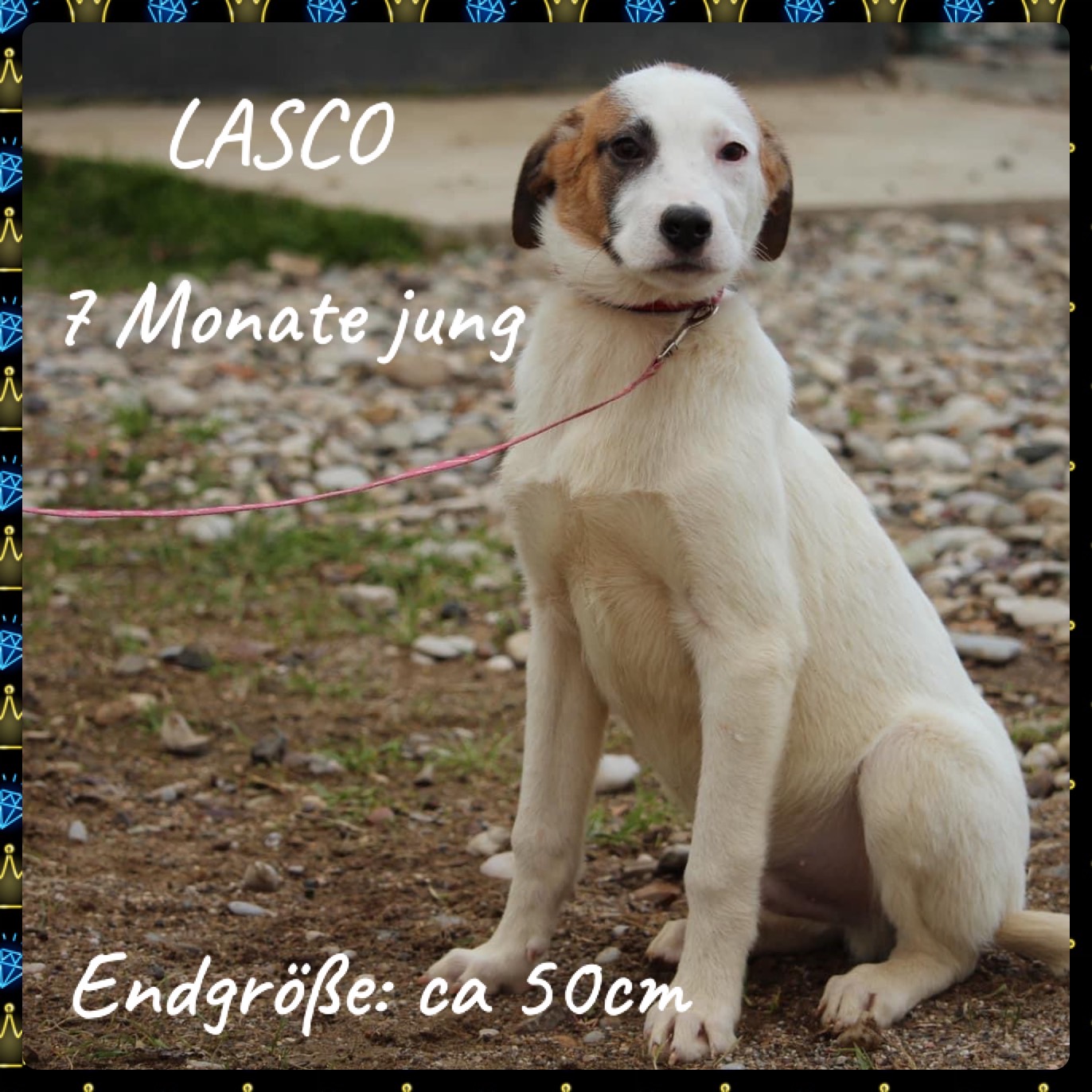 Lasco