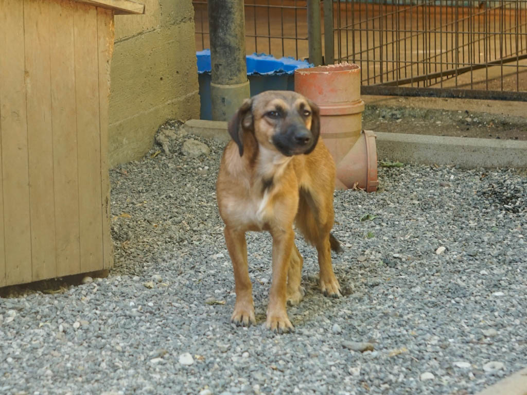 Alma