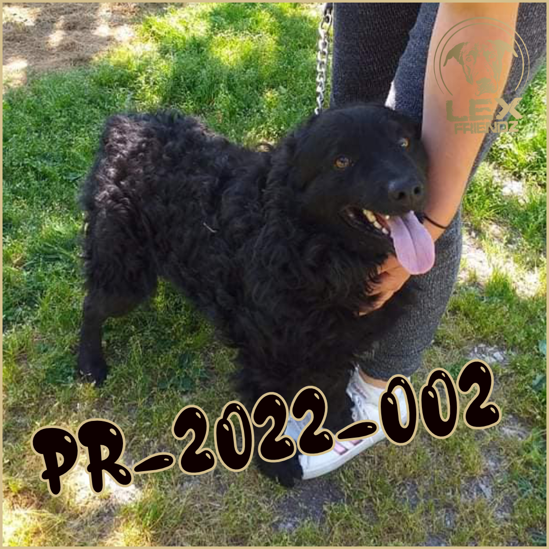 PR-2022-002