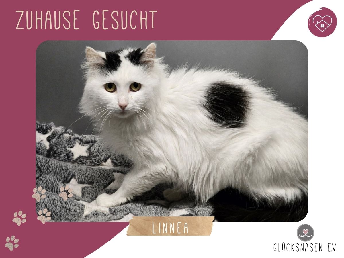 Linnea braucht etwas Zeit