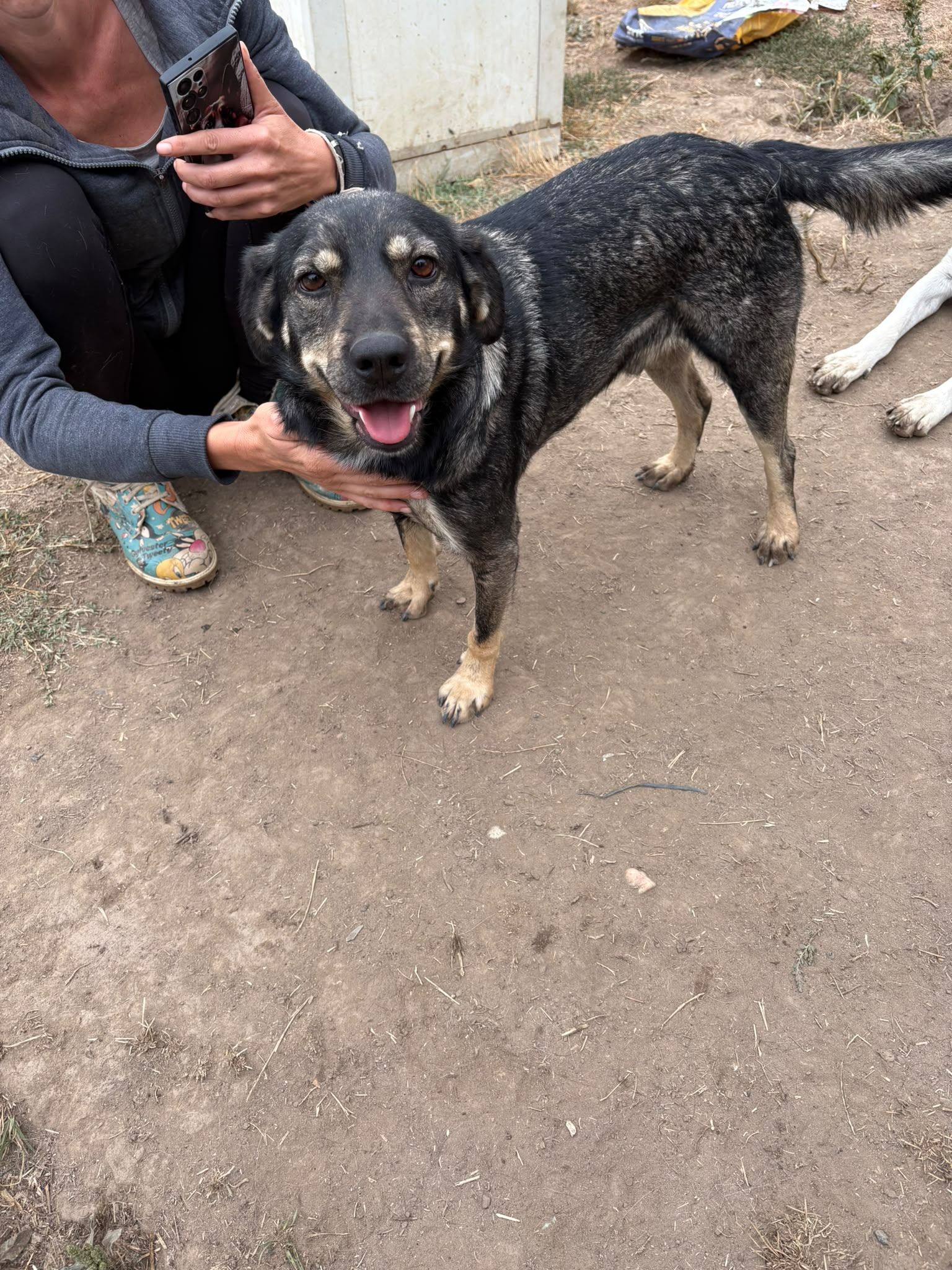 Coco