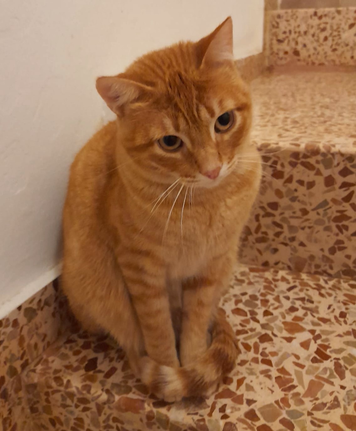 Milos