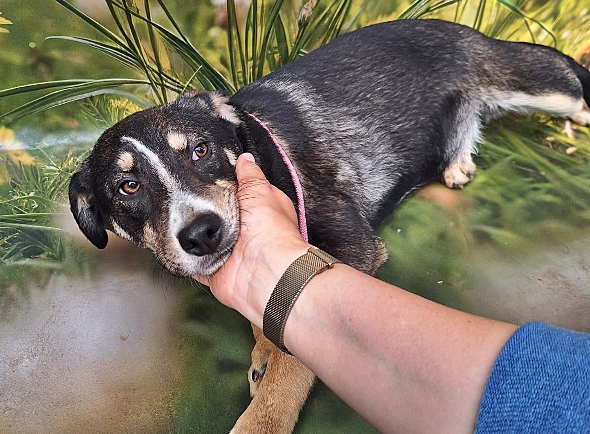 Nelly, sensibel und lieb